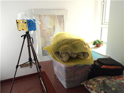 �ǽ� �³Ǽt�䞳