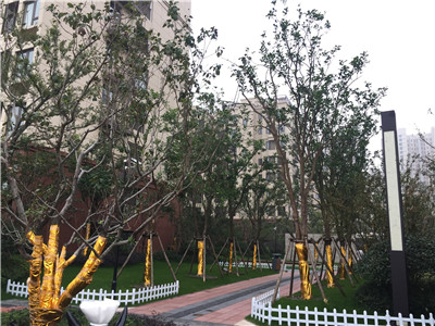 ��ǅ^(q��) ���G·�c��Ԫ·���R̎ �f��VCС�(zh��n)