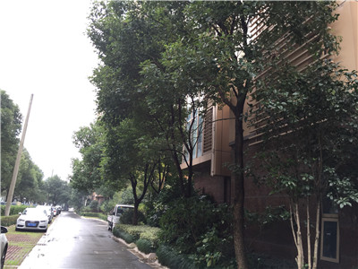 �@�^(q��) ����ˮ��