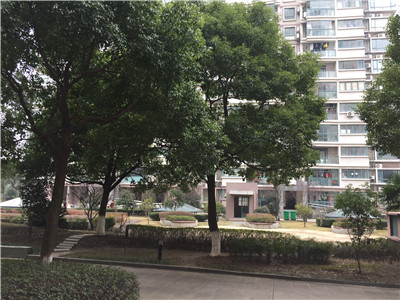 �@�^(q��) ������Ԣ